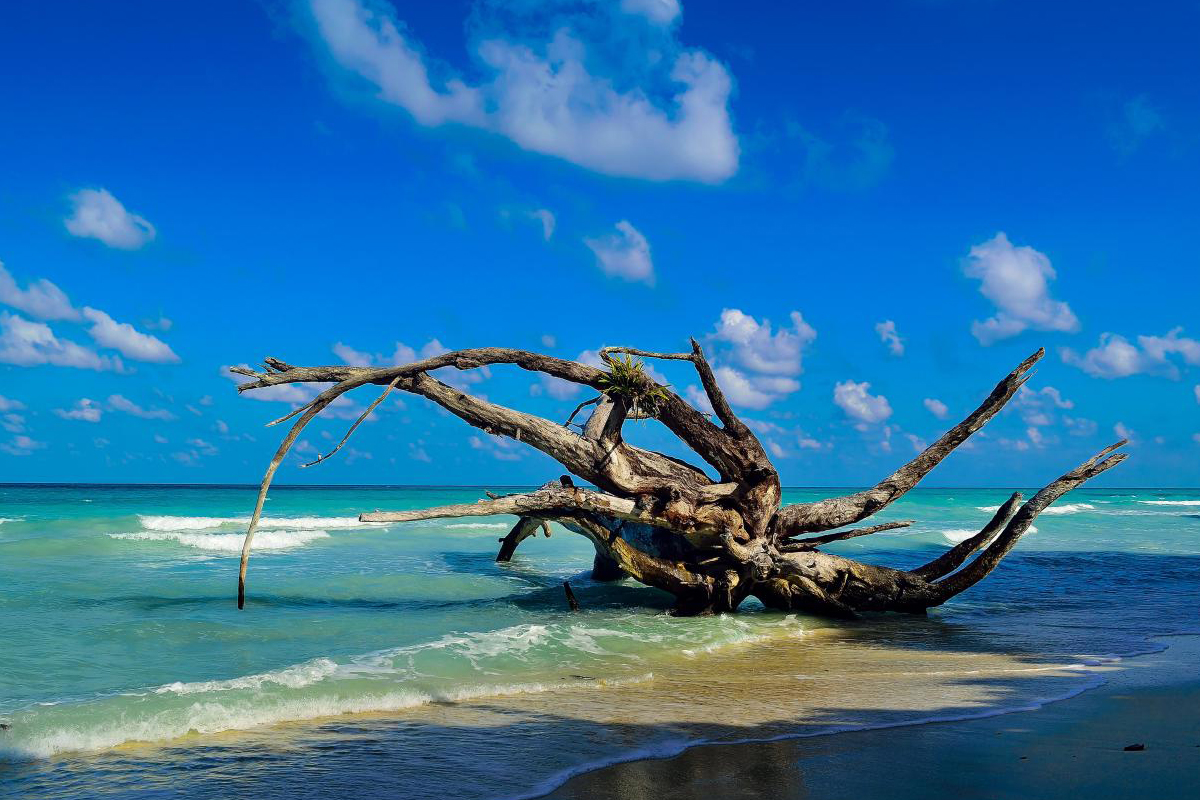 Radhanagar Beach
