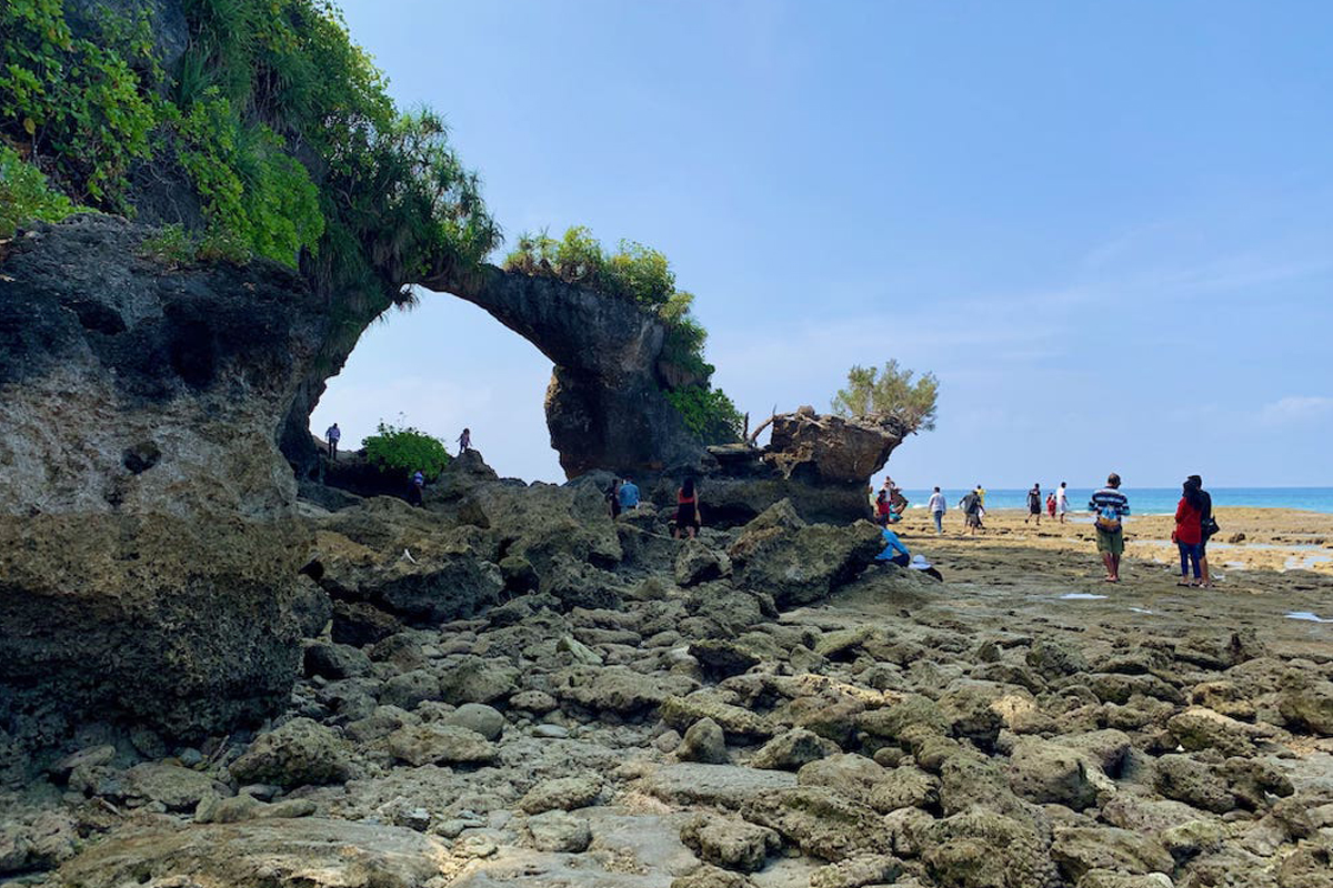 Elephant Beach