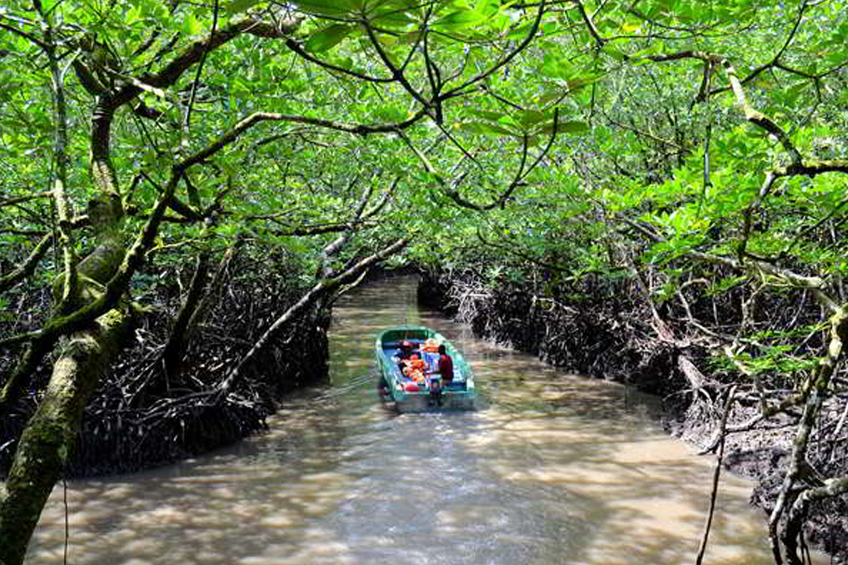 Neil Island