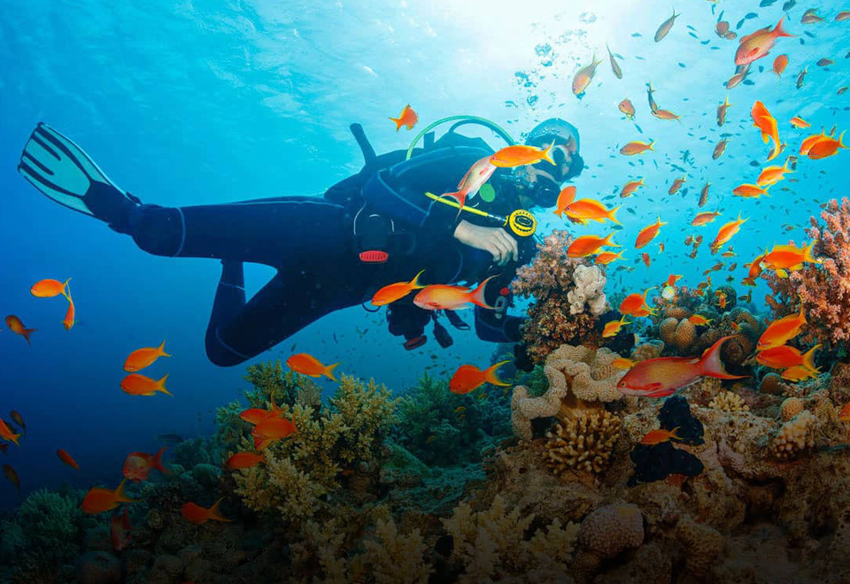 Complete Andaman